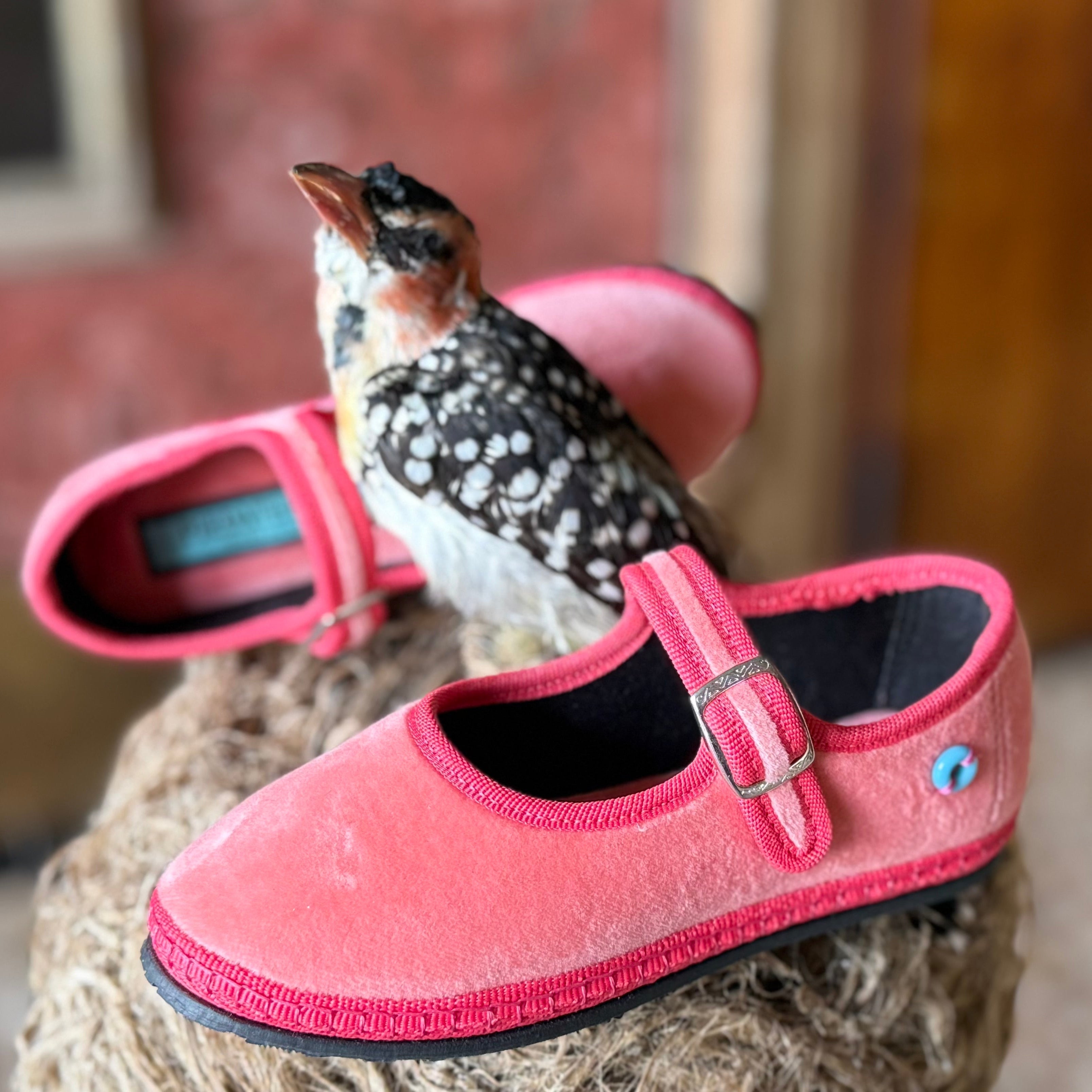 Classici Bambino