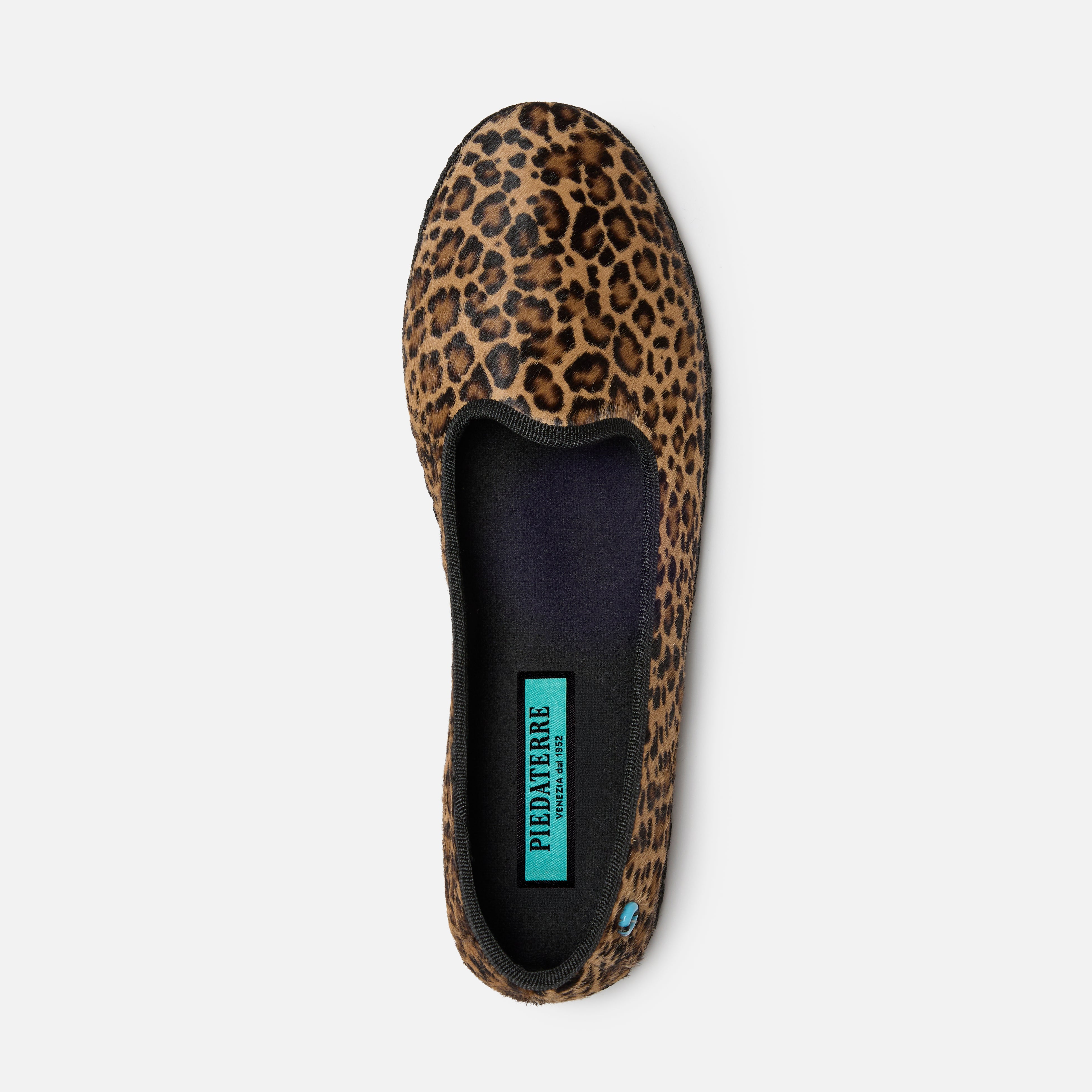 Modigliani Cavallino Animalier